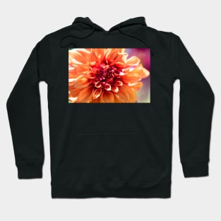 Orange dinnerplate dahlia Hoodie